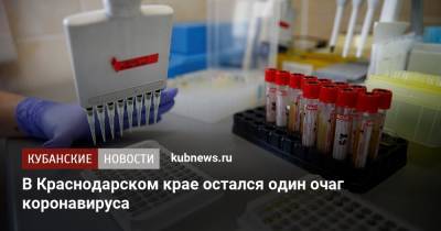 В Краснодарском крае остался один очаг коронавируса - kubnews.ru - Краснодарский край