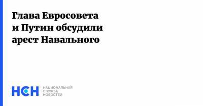 Владимир Путин - Алексей Навальный - Шарль Мишель - Глава Евросовета и Путин обсудили арест Навального - nsn.fm