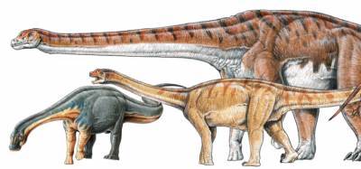 Найдены кости самого большого динозавра в истории - news.bigmir.net - Аргентина