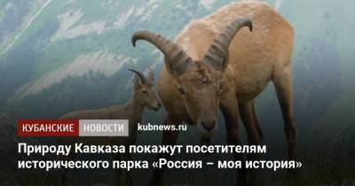 Природу Кавказа покажут посетителям исторического парка «Россия – моя история» - kubnews.ru - Краснодар