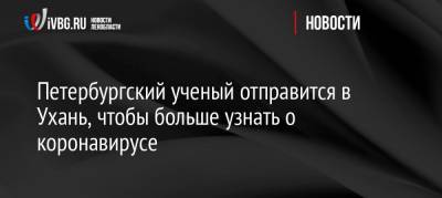 Владимир Дедков - Петербургский ученый отправится в Ухань, чтобы больше узнать о коронавирусе - ivbg.ru - Санкт-Петербург - Ухань