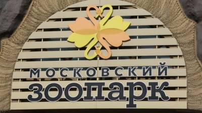 Сергей Собянин - Московский зоопарк открыл павильоны после снятия ограничений - mir24.tv - Москва