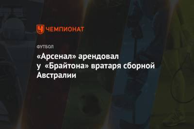 «Арсенал» арендовал у «Брайтона» вратаря сборной Австралии - championat.com - Австралия - Лондон