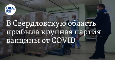 Евгений Куйвашев - В Свердловскую область прибыла крупная партия вакцины от COVID - ura.news - Свердловская обл.