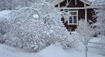 Житель Чувашии едва не замерз на собственной даче, его эвакуировали на снегоходе - pg21.ru - респ. Чувашия - район Чебоксарский