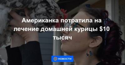 Американка потратила на лечение домашней курицы $10 тысяч - news.mail.ru - США - Веллингтон