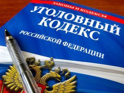 Светлана Петренко - СК России возбудил дело из-за призывов к детям идти на несанкционированные митинги - rosbalt.ru