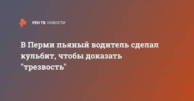 В Перми пьяный водитель сделал кульбит, чтобы доказать "трезвость" - ren.tv - Пермь