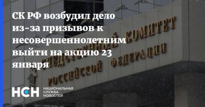 Светлана Петренко - СК РФ возбудил дело из-за призывов к несовершеннолетним выйти на акцию 23 января - nsn.fm - Следственный Комитет