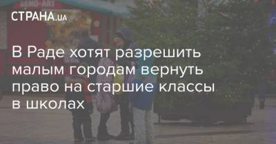 В Раде хотят разрешить малым городам вернуть право на старшие классы в школах - strana.ua - Винницкая обл.