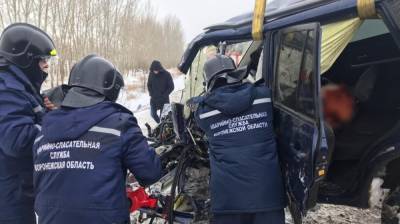 Молодую автомобилистку зажало в иномарке после тройного ДТП с погибшим под Воронежем - vestivrn.ru - Воронеж - Воронежская обл. - Липецкая обл. - county Ford