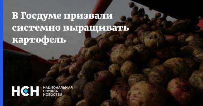 Владимир Кашин - В Госдуме призвали системно выращивать картофель - nsn.fm - Торговля