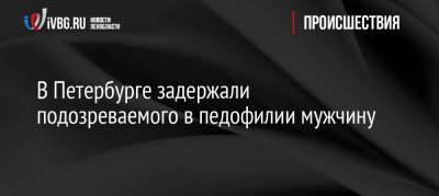 В Петербурге задержали подозреваемого в педофилии мужчину - ivbg.ru - Петербурга - Петербург