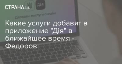 Какие услуги добавят в приложение "Дія" в ближайшее время - Федоров - strana.ua