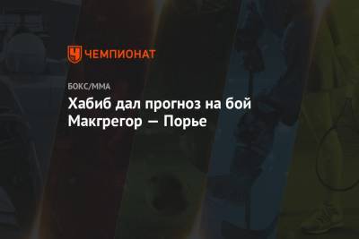 Хабиб Нурмагомедов - Дастин Порье - Хабиб дал прогноз на бой Макгрегор — Порье - championat.com