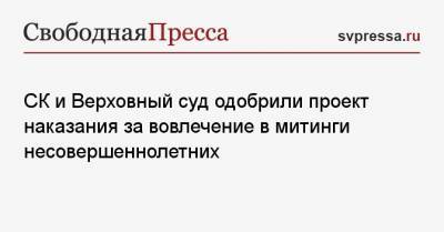 Евгений Марченко - СК и Верховный суд одобрили проект наказания за вовлечение в митинги несовершеннолетних - svpressa.ru