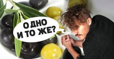Повар с прозвищем «ходячая энциклопедия» рассказывает, почему маслины равны оливкам - skuke.net