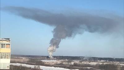В Тюмени около базы отдыха «Верхний Бор» произошел пожар - nashgorod.ru - Тюмень