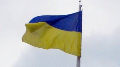 Елена Лукаш - Одесский депутат осудил празднование Дня соборности на Украине - politros.com - Украина - Одесса