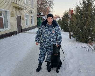 После сборов в Липецке Бель сменит лабрадора Айса - lipetskmedia.ru - район Задонский - Липецк