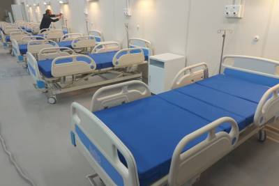 В Ленэкспо появится крупнейший в Петербурге пункт вакцинации - abnews.ru - Санкт-Петербург