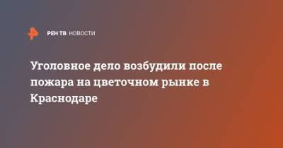 Уголовное дело возбудили после пожара на цветочном рынке в Краснодаре - ren.tv - Краснодар