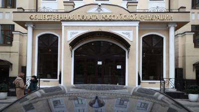 Александр Малькевич - Общественная палата нашла около 100 фейков о незаконных акциях 23 января - iz.ru