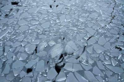 В Саратове глыба льда, упавшая с крыши, убила мальчика - argumenti.ru - Москва - Саратов - Югра
