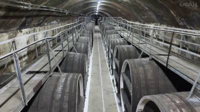 Стали известны претенденты на покупку винзавода «Коктебель» в Крыму - riafan.ru - Москва - Крым - Санкт-Петербург