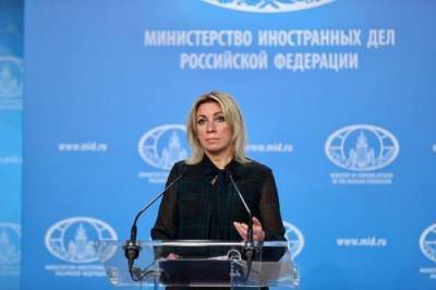 Мария Захарова - Задержанный участник несанкционированной акции в Москве позвонил Захаровой с просьбой о помощи - argumenti.ru - Москва - США - Санкт-Петербург