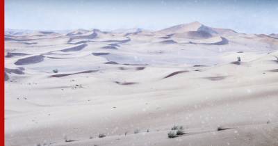 Sky News - Сахара покрылась льдом - profile.ru - Алжир