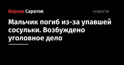 Мальчик погиб из-за упавшей сосульки. Возбуждено уголовное дело - nversia.ru - Саратовская обл. - Саратов