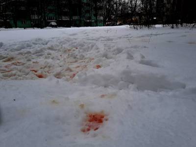 В Новомичуринске двух братьев расстреляли из травматов - 7info.ru - Новомичуринск