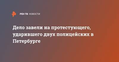 Дело завели на протестующего, ударившего двух полицейских в Петербурге - ren.tv - Санкт-Петербург