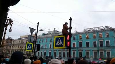 Владимир Путин - Алексей Навальный - Тиктокеры так и не смогли стать декабристами на протестах в Петербурге. - riafan.ru - Санкт-Петербург
