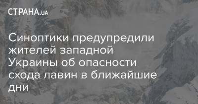 Синоптики предупредили жителей западной Украины об опасности схода лавин в ближайшие дни - strana.ua - Ивано-Франковская обл. - Закарпатская обл.