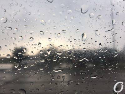 Погода в Одессе 24 января: тепло, но дождливо - odessa-life.od.ua - Украина - Одесса - Одесская обл.