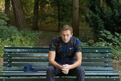 Алексей Навальный - Новый хозяин не пустил Навального в бывшую квартиру Путина в Дрездене - mk.ru