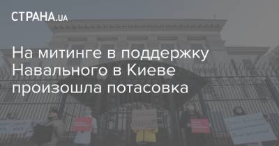 Алексей Навальный - На митинге в поддержку Навального в Киеве произошла потасовка - strana.ua - Киев - Крым