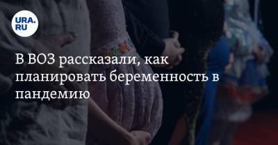 Александр Мясников - В ВОЗ рассказали, как планировать беременность в пандемию - ura.news