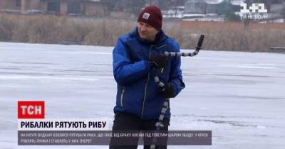 В Кропивницкому спасали рыбу от недостатка кислорода: что случилось - tsn.ua
