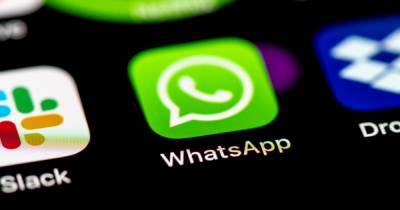 В ЕС обеспокоены обновлением пользовательского соглашения WhatsApp - ren.tv