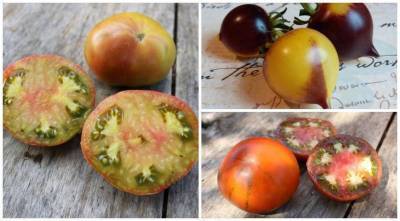 Цветные помидоры: в чем их преимущества? Выбираем сорта и гибриды томатов для посева на рассаду в 2021 году - skuke.net