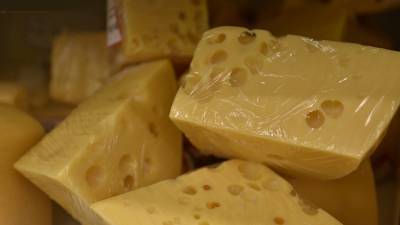 Россия активно закупает сыр из разных стран - polit.info - Швейцария - Белоруссия - Сербия - Новая Зеландия - Аргентина - Уругвай
