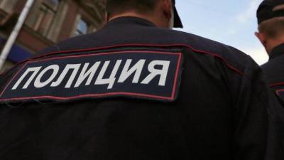 Алексей Навальный - Мария Алехина - Людмила Штейн - Участницы Pussy Riot на автомобиле снесли с ног полицейского в Москве - nation-news.ru - Москва