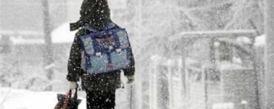 Из-за морозов новосибирских школьников могут освободить от занятий - runews24.ru - Новосибирск
