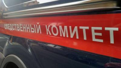 Жительница Башкирии погибла от удара об дерево при спуске на канатной дороге - nation-news.ru - Башкирия
