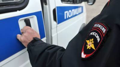Представитель полиции принёс извинения пострадавшей в Петербурге женщине - russian.rt.com - Санкт-Петербург