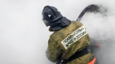 Мария Базарева - Четырехкомнатная квартира загорелась в Петербурге - nation-news.ru - Санкт-Петербург - Екатеринбург