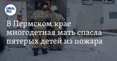 В Пермском крае многодетная мать спасла пятерых детей из пожара - ura.news - Пермский край